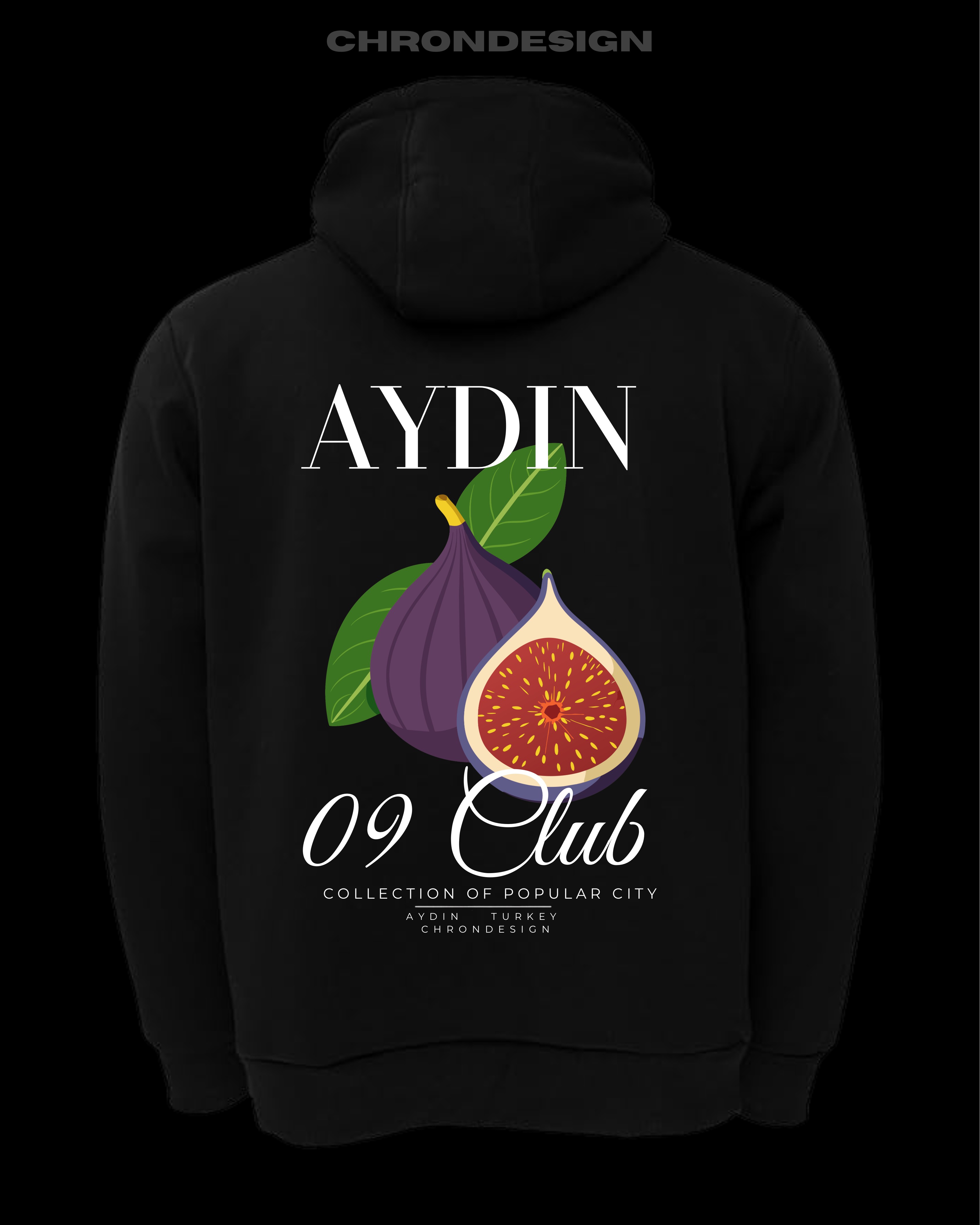 AYDIN