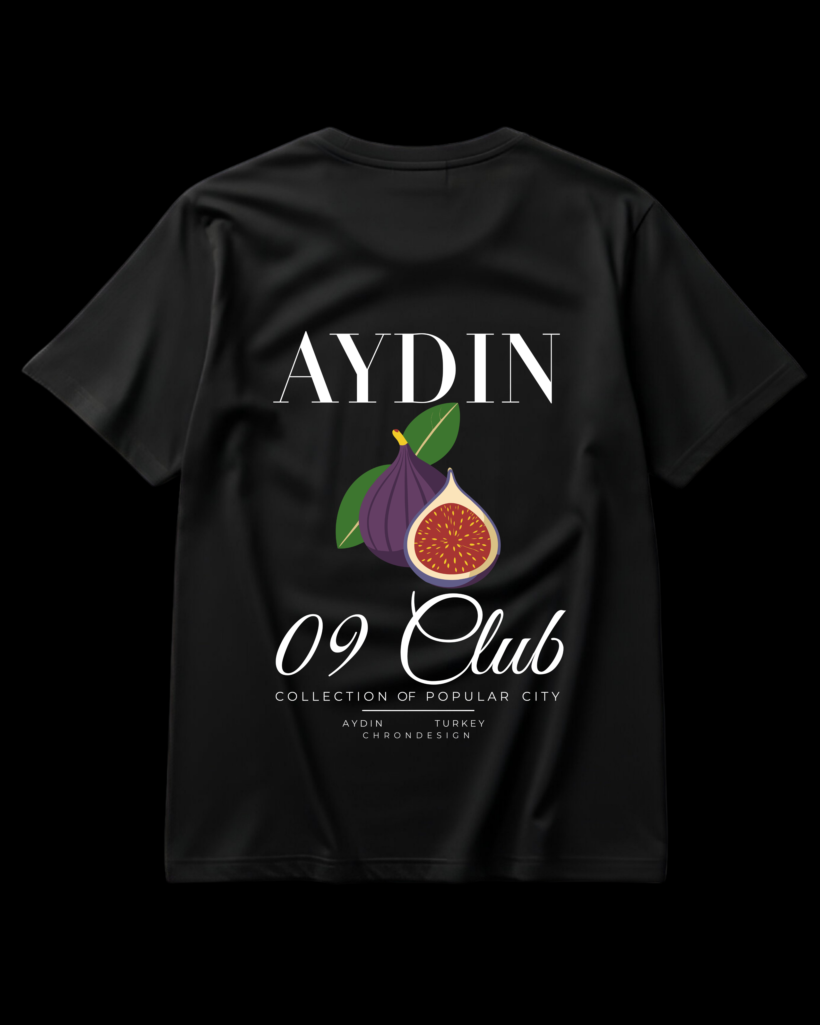 AYDIN