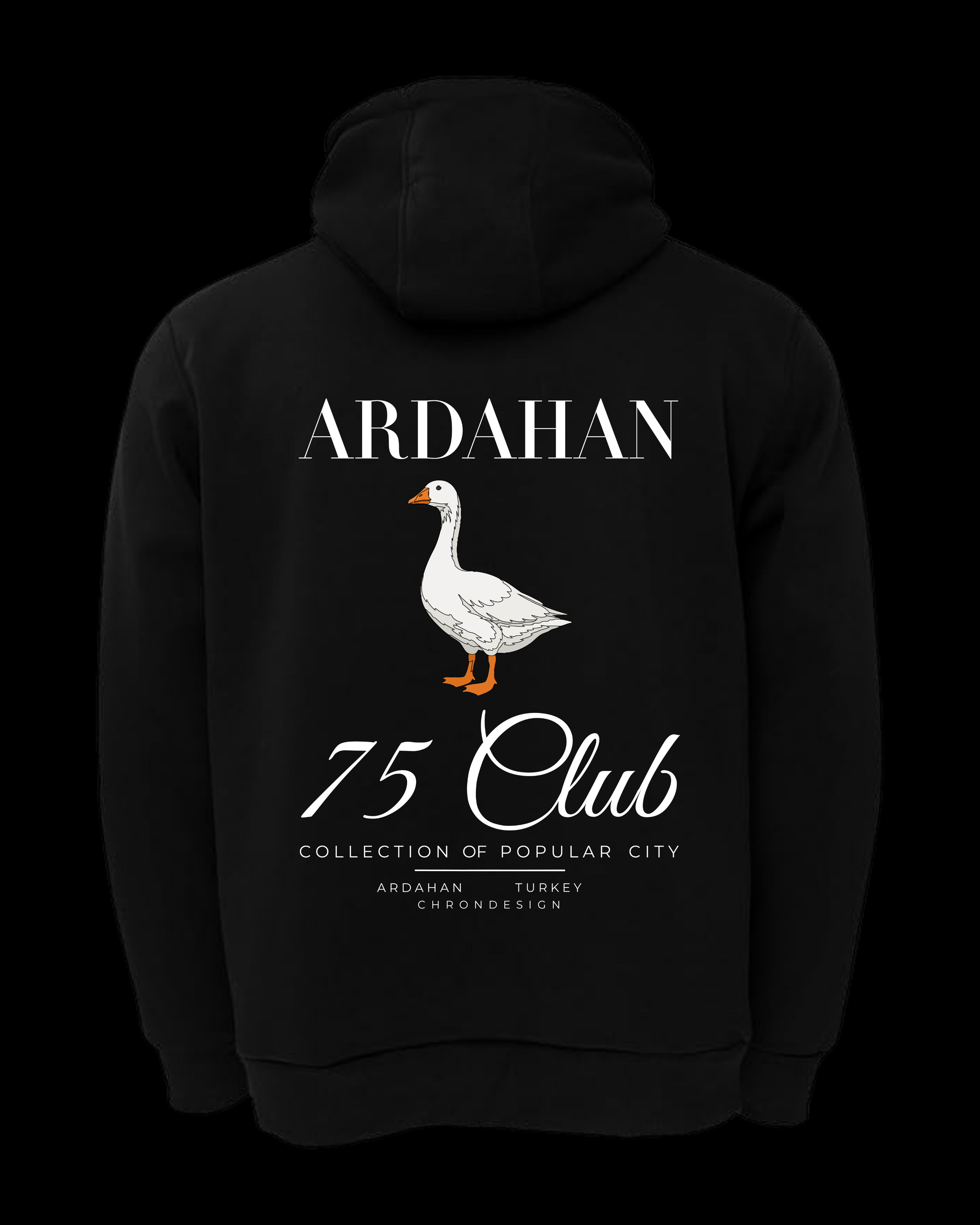 ARDAHAN Regular Hoodie