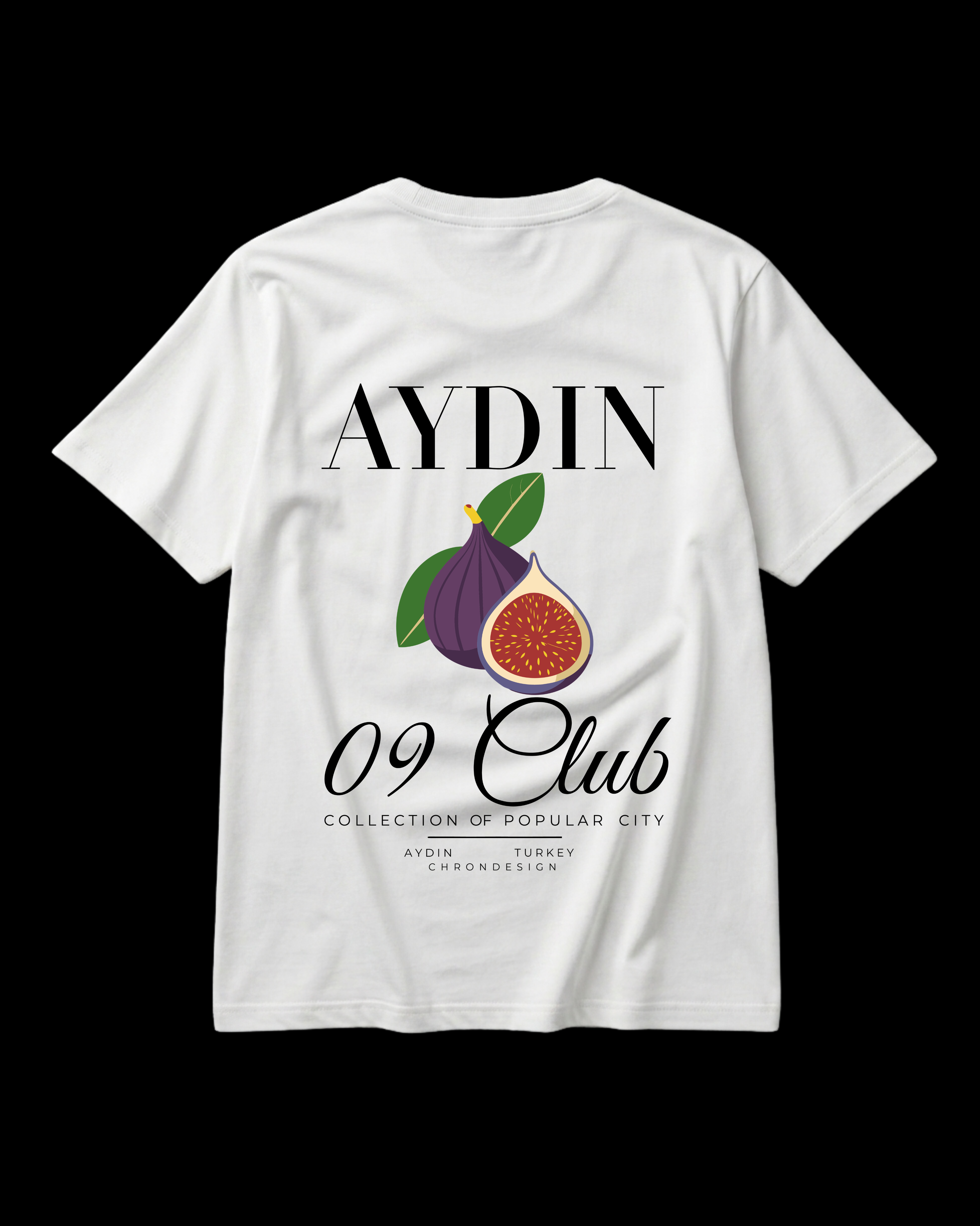 AYDIN