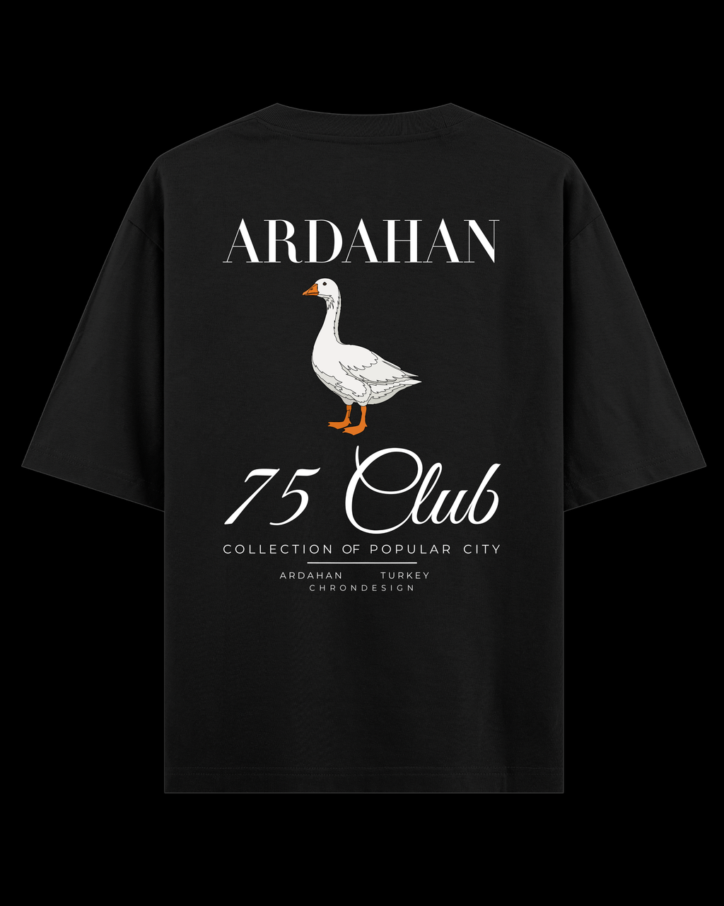 ARDAHAN Oversize Tee