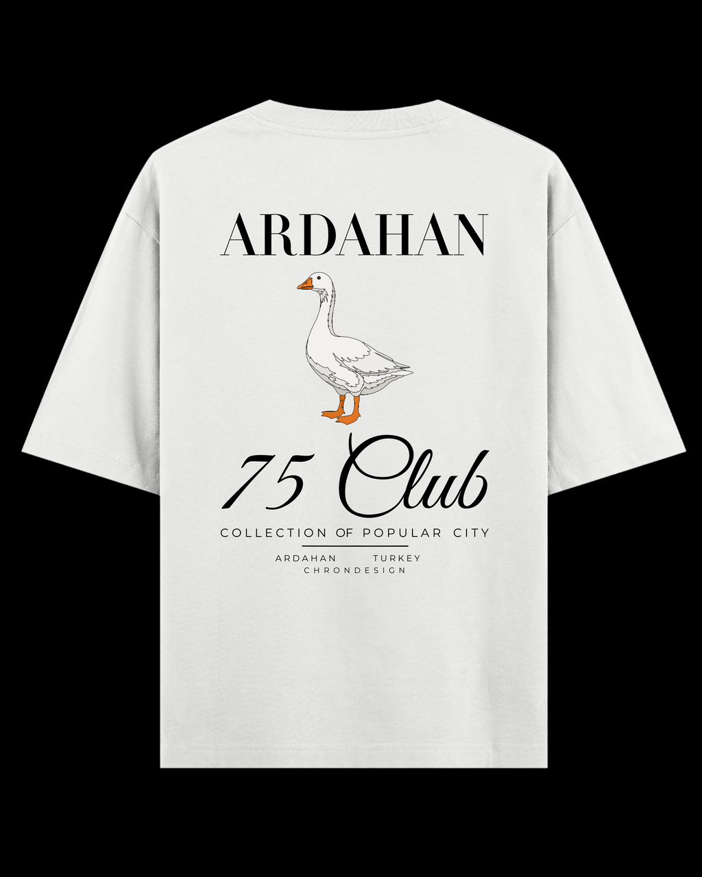 ARDAHAN Oversize Tee